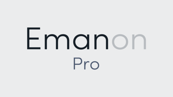 Emanon設定 投稿ページ・固定ページ 広告ラベル